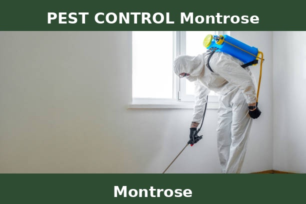 PEST CONTROL Montrose